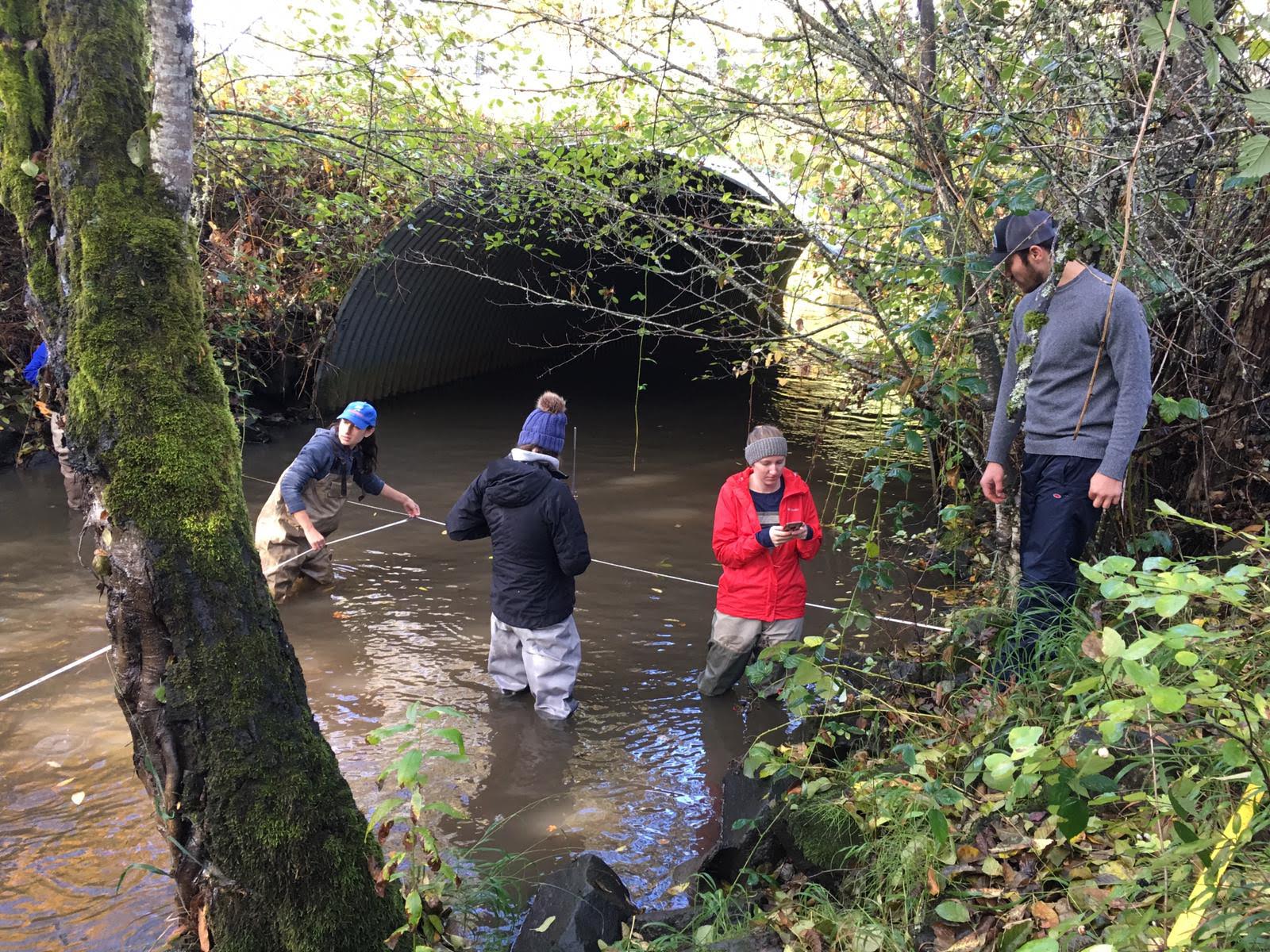 five students doing research in a river, next to a large drainpipe